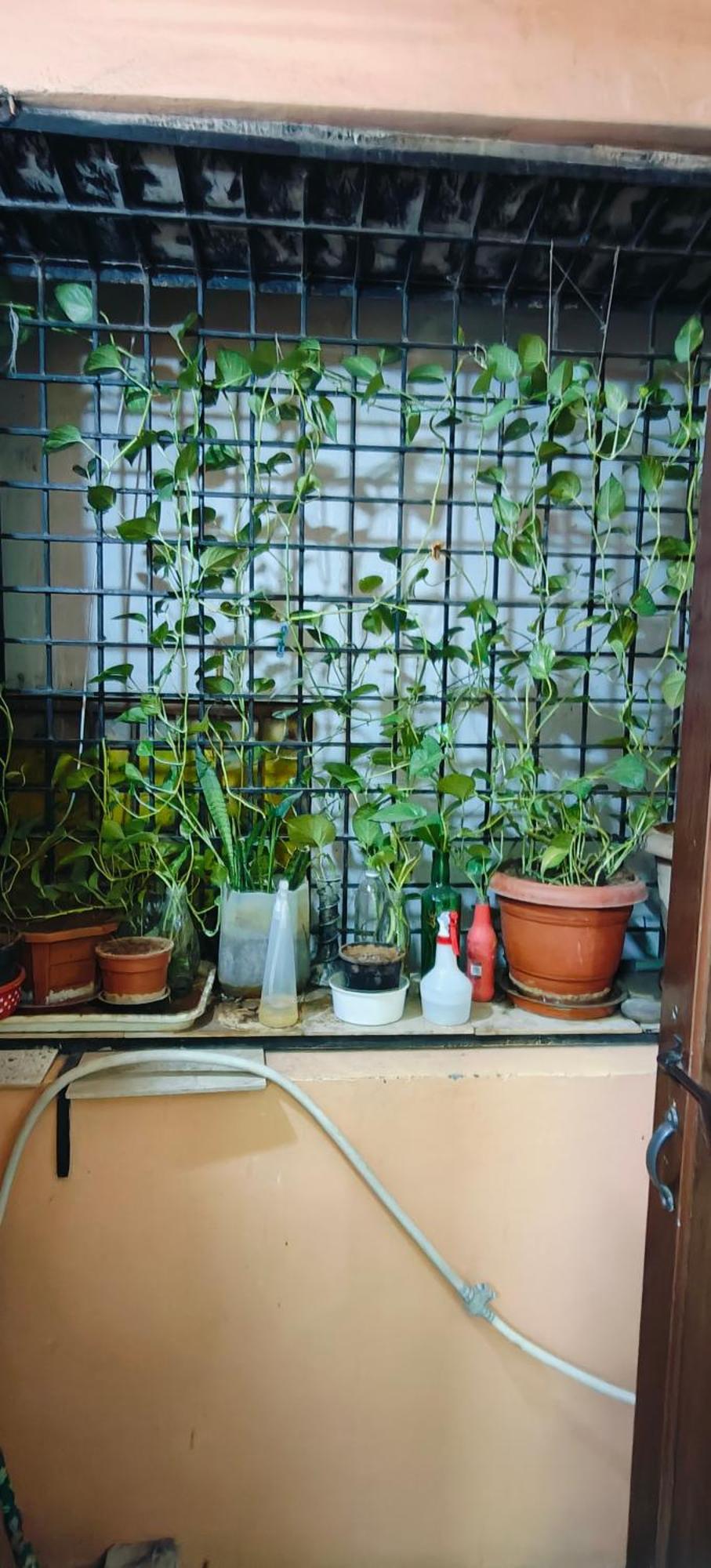 Rani'S Nest Apartman Haidarábád Kültér fotó